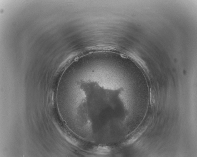 X0000066510157200603241315