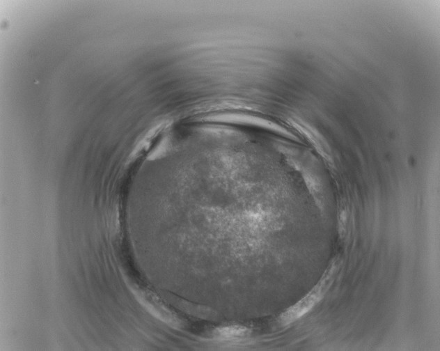 X0000066510158200603241315