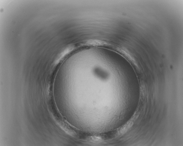 X0000066510159200603241315