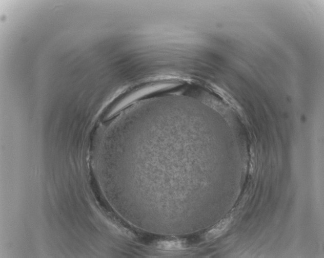 X0000066510160200603241315