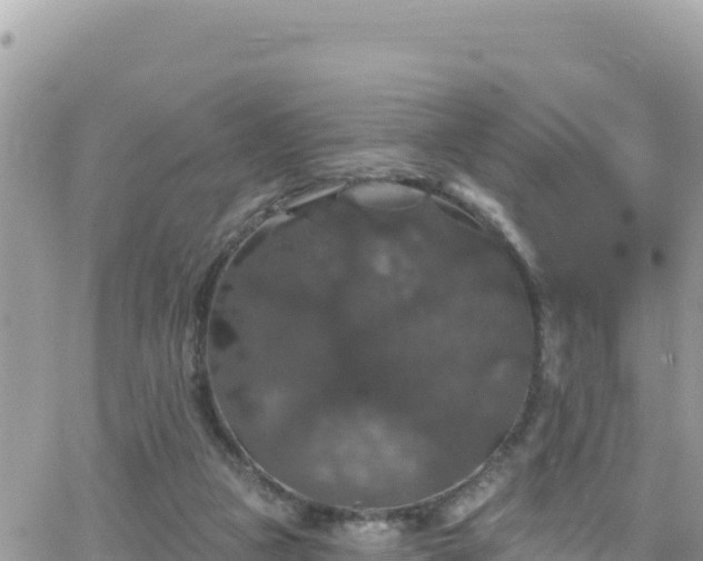 X0000066510161200603241315