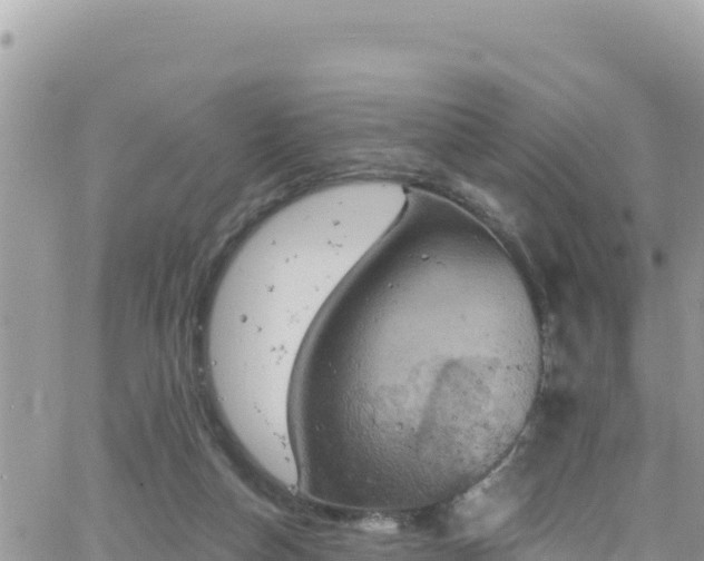 X0000066510162200603241315