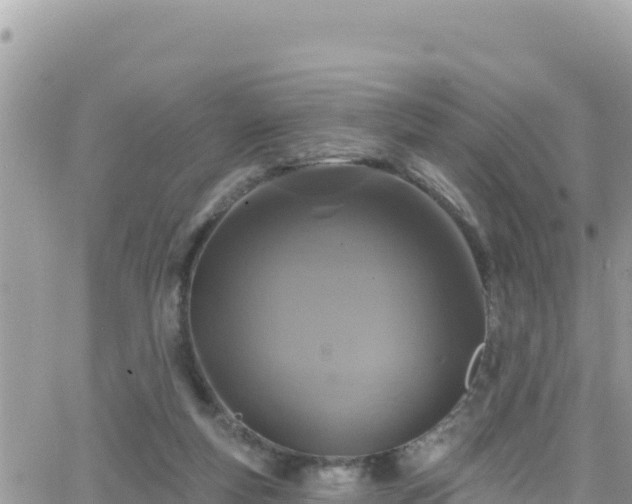 X0000066510163200603241315