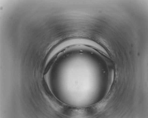 X0000066510164200603241315