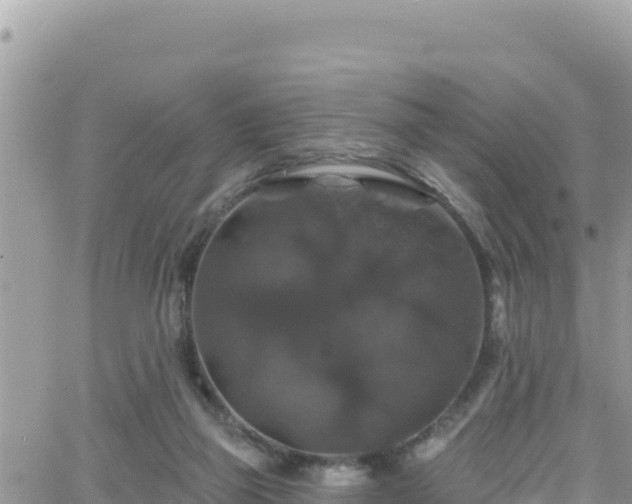 X0000066510165200603241315