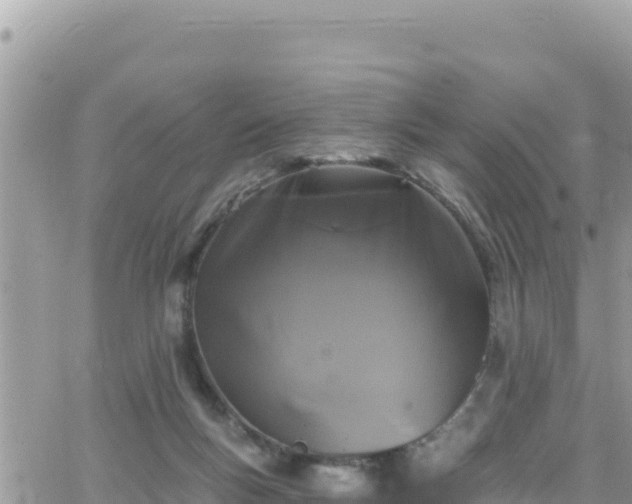 X0000066510167200603241315