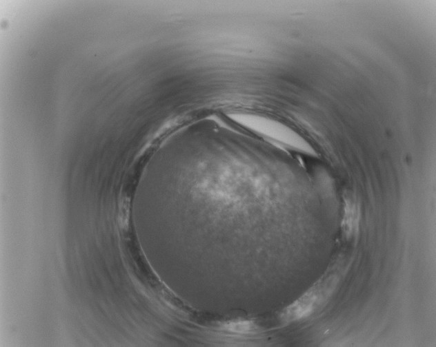 X0000066510168200603241315