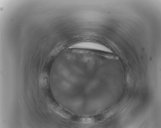 X0000066510169200603241315