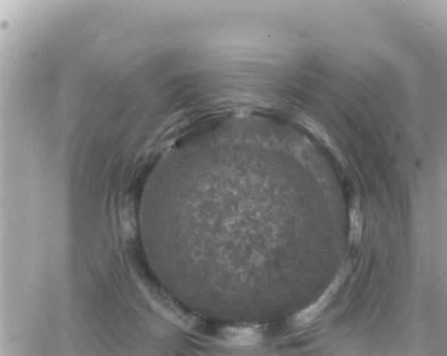 X0000066510170200603241315