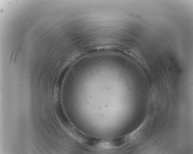 X0000066510171200603241315