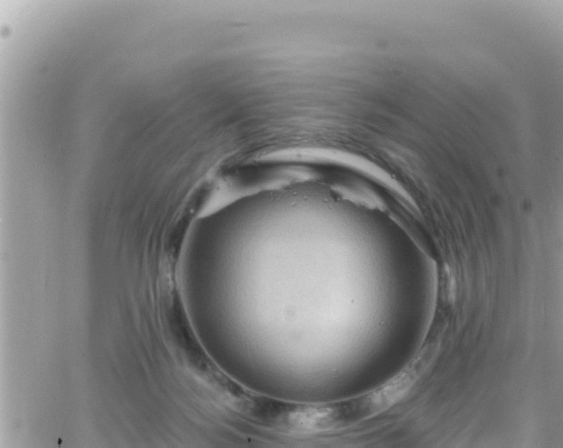 X0000066510172200603241315