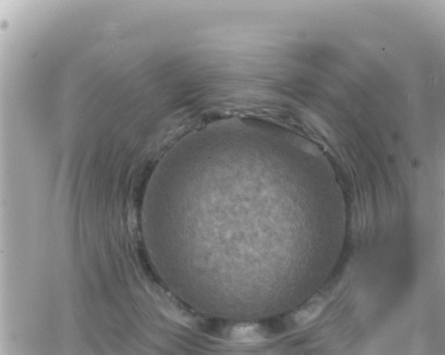 X0000066510173200603241316