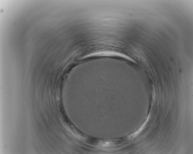 X0000066510174200603241316