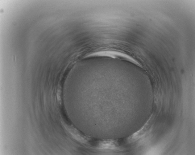 X0000066510175200603241316