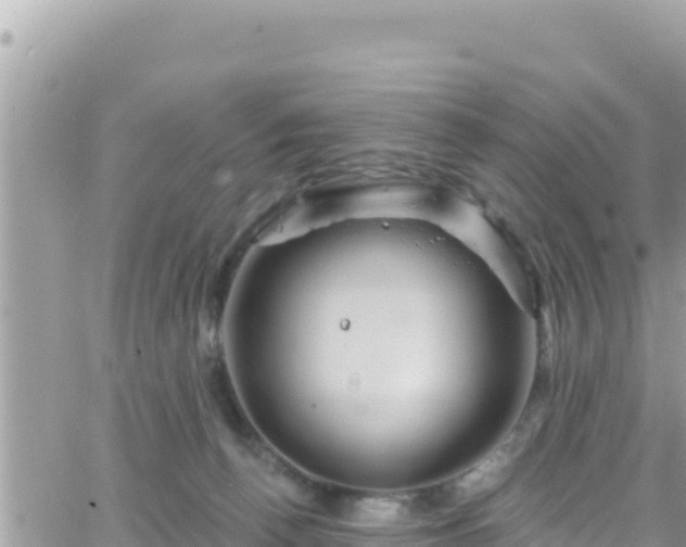 X0000066510176200603241316