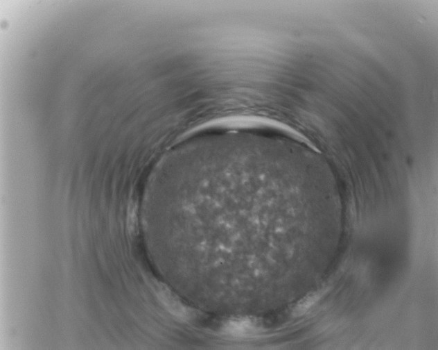 X0000066510177200603241316