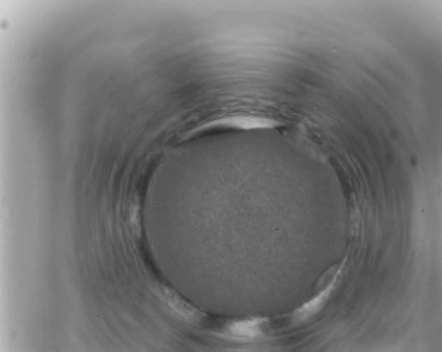 X0000066510178200603241316