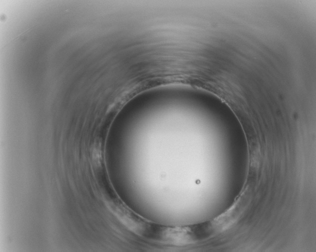 X0000066510179200603241316