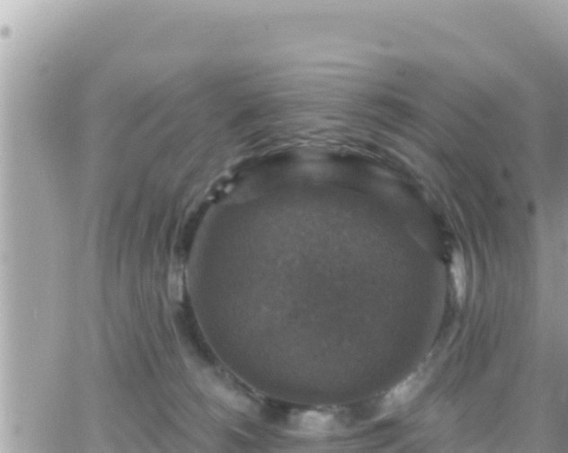 X0000066510180200603241316