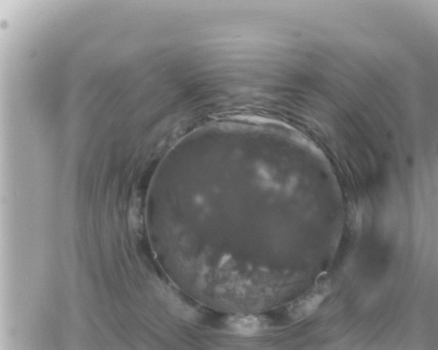 X0000066510181200603241316