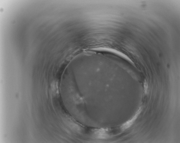 X0000066510182200603241316