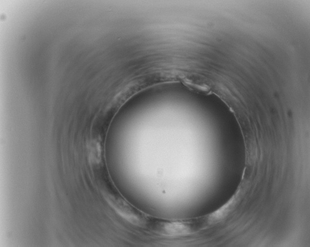 X0000066510183200603241316