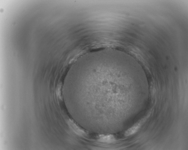 X0000066510185200603241316