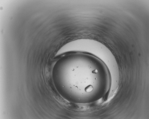 X0000066510186200603241316