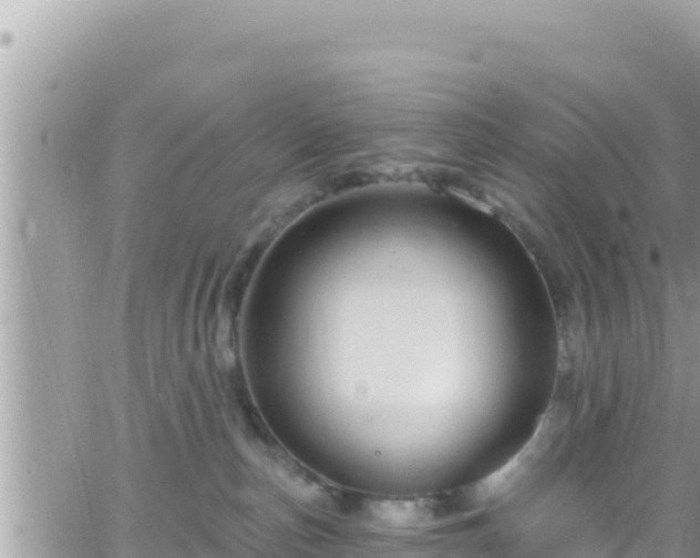 X0000066510187200603241316