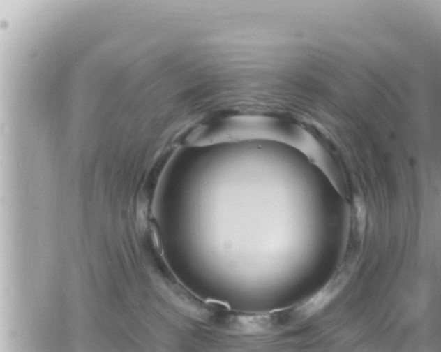 X0000066510188200603241316