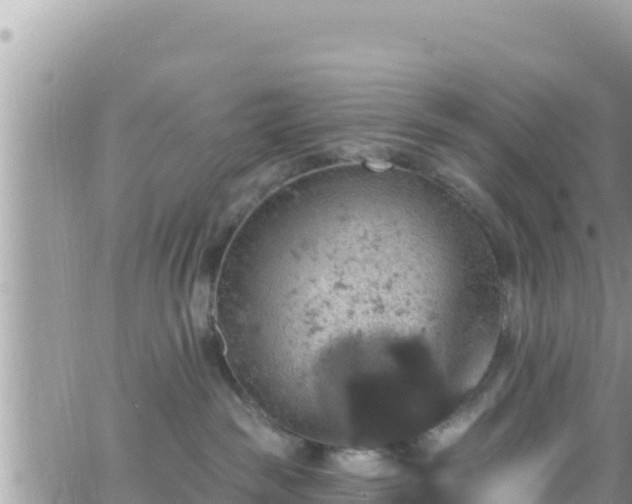 X0000066510189200603241316