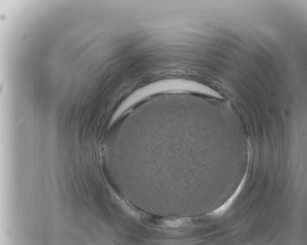 X0000066510190200603241316