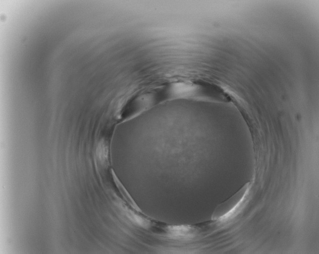 X0000066510192200603241316