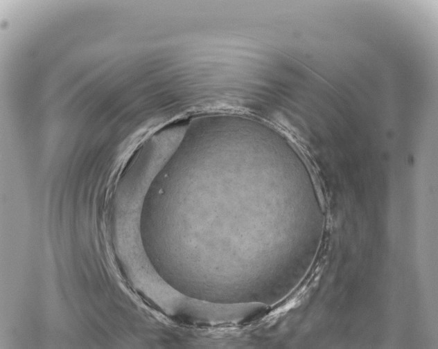 X0000066510193200603241315