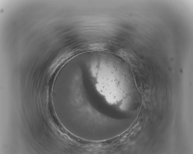 X0000066510194200603241315