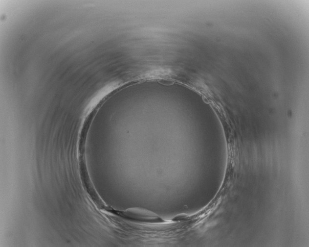 X0000066510196200603241315