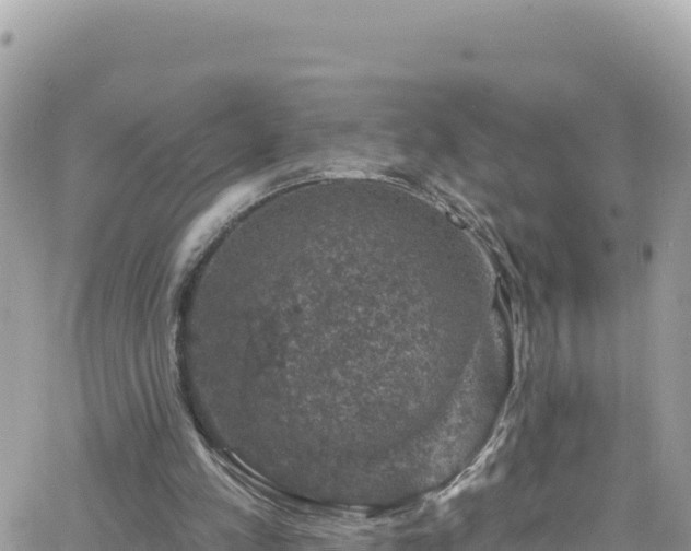 X0000066510197200603241315