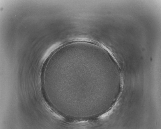 X0000066510199200603241315