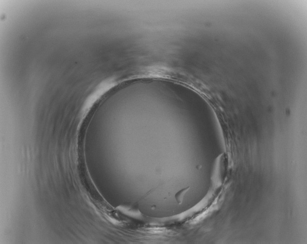 X0000066510200200603241315