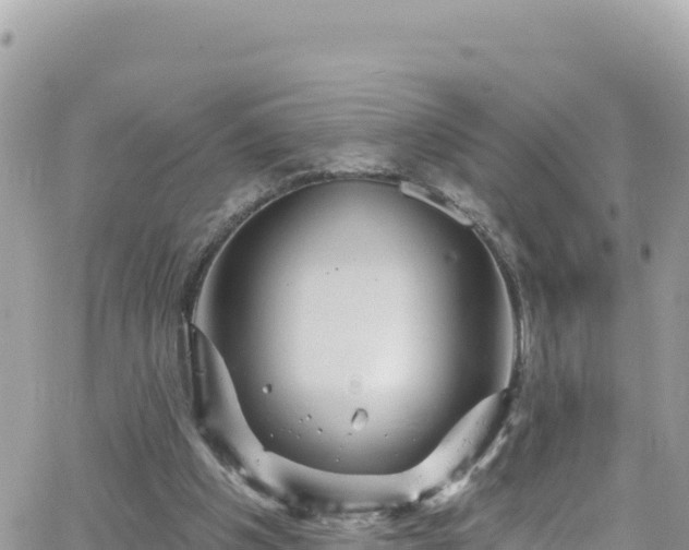 X0000066510201200603241315