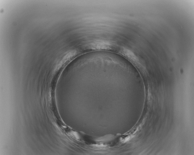 X0000066510202200603241315