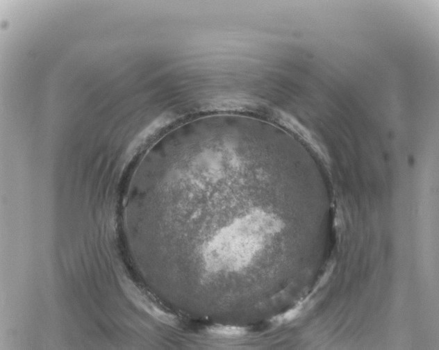 X0000066510203200603241315