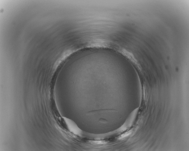 X0000066510204200603241315