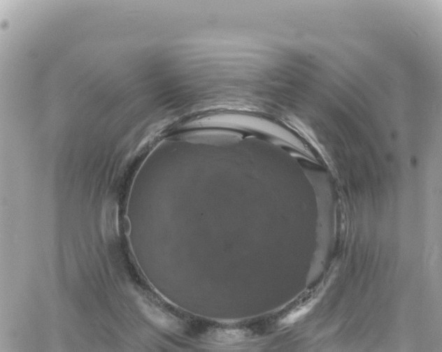 X0000066510205200603241315