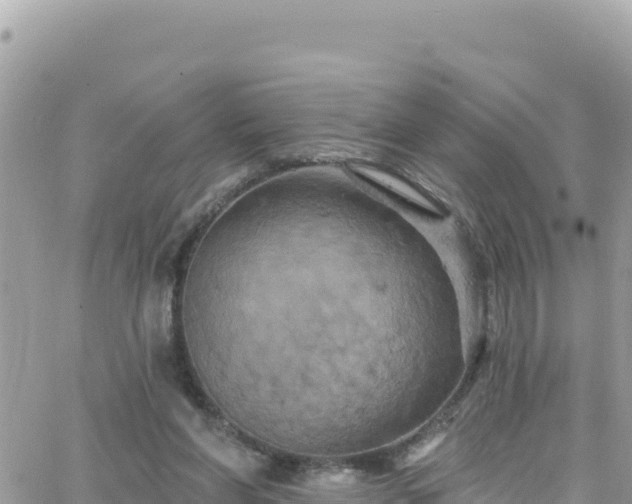 X0000066510206200603241315