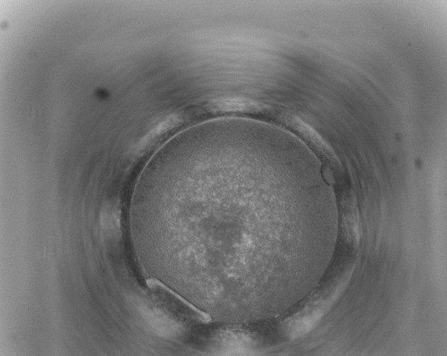 X0000066510207200603241315