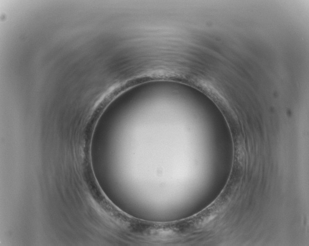 X0000066510208200603241315