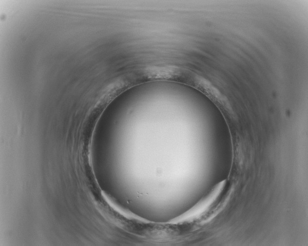 X0000066510209200603241315