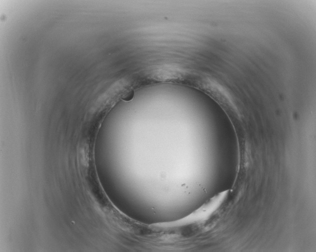 X0000066510210200603241315