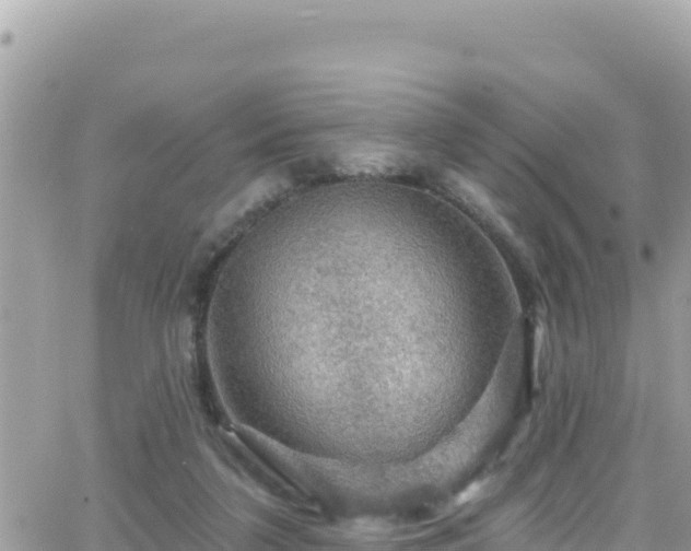 X0000066510211200603241315